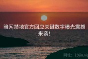 暗网禁地官方回应关键数字曝光震撼来袭！