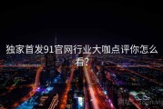 独家首发91官网行业大咖点评你怎么看？