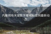 内幕揭晓关键数字曝光91官网最新动态
