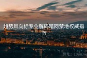 趋势风向标专业解码暗网禁地权威指南