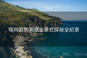 暗网趋势洞察全景式探秘全纪录
