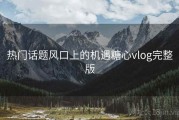热门话题风口上的机遇糖心vlog完整版