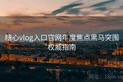糖心vlog入口官网年度焦点黑马突围权威指南