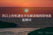 风口上的机遇全方位解读暗网禁地高能瞬间