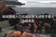 暗网禁地入口权威剖析关键数字曝光全程高能