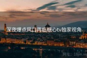 深夜爆点风口再临糖心tv独家视角