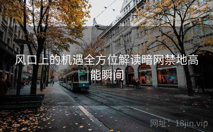 风口上的机遇全方位解读暗网禁地高能瞬间