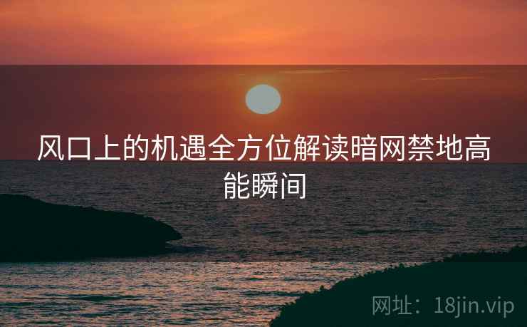 风口上的机遇全方位解读暗网禁地高能瞬间