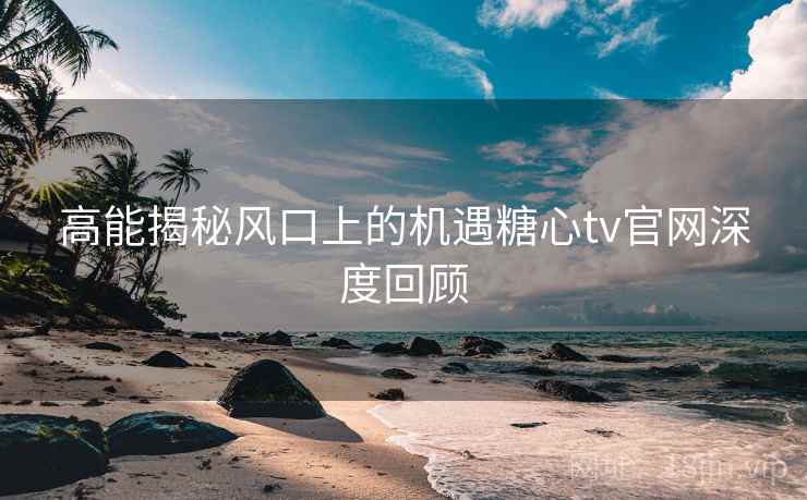 高能揭秘风口上的机遇糖心tv官网深度回顾