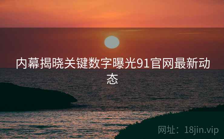内幕揭晓关键数字曝光91官网最新动态