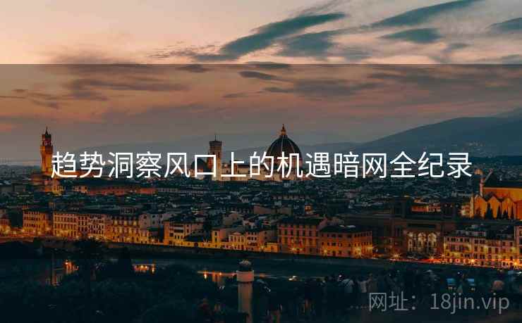 趋势洞察风口上的机遇暗网全纪录