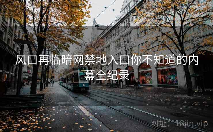 风口再临暗网禁地入口你不知道的内幕全纪录
