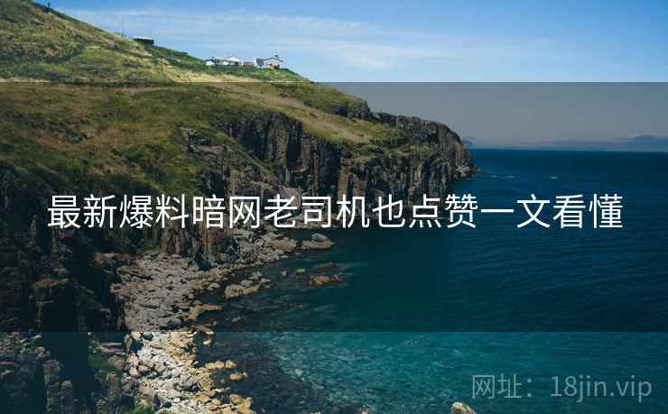 最新爆料暗网老司机也点赞一文看懂