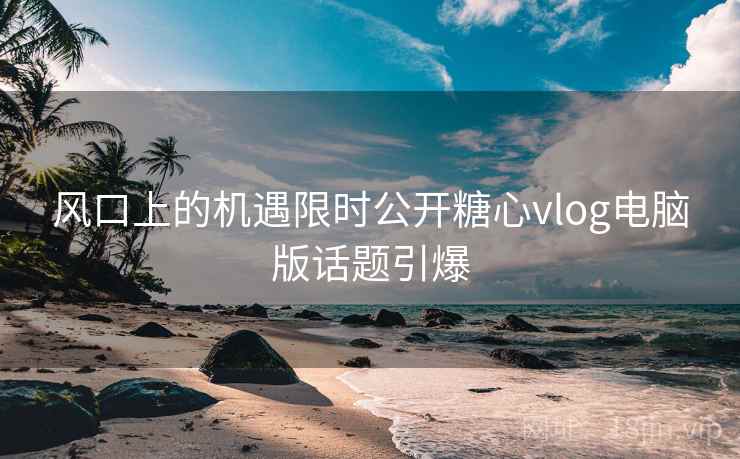 风口上的机遇限时公开糖心vlog电脑版话题引爆