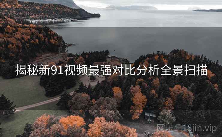 揭秘新91视频最强对比分析全景扫描