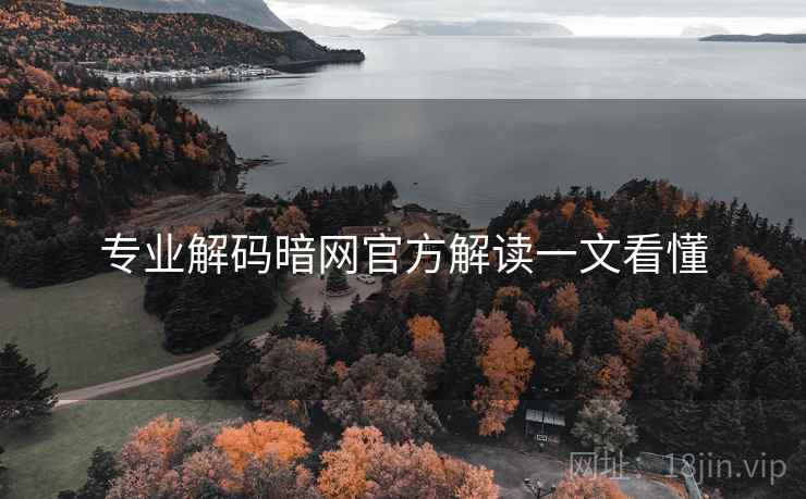 专业解码暗网官方解读一文看懂
