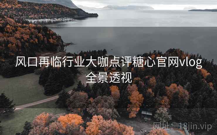 风口再临行业大咖点评糖心官网vlog全景透视