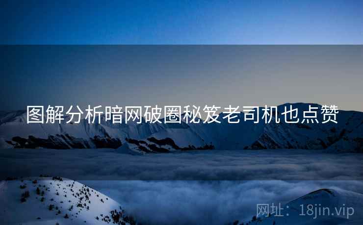图解分析暗网破圈秘笈老司机也点赞