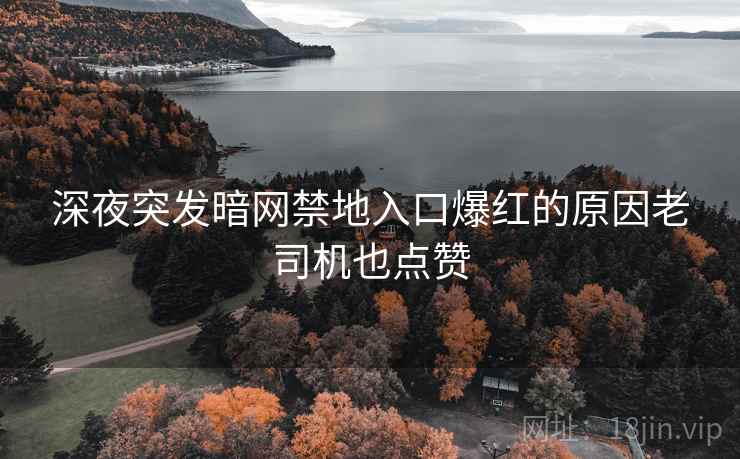深夜突发暗网禁地入口爆红的原因老司机也点赞