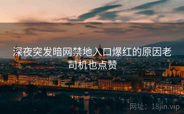 深夜突发暗网禁地入口爆红的原因老司机也点赞