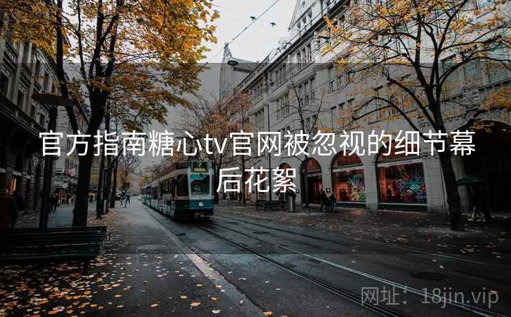 官方指南糖心tv官网被忽视的细节幕后花絮
