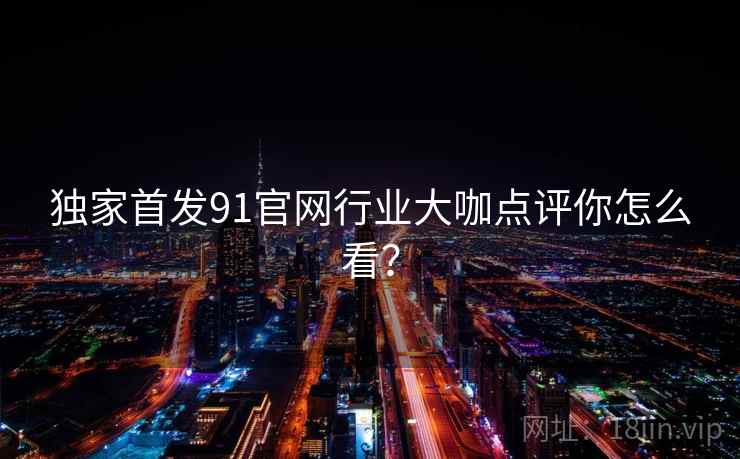 独家首发91官网行业大咖点评你怎么看？