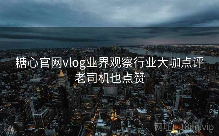 糖心官网vlog业界观察行业大咖点评老司机也点赞
